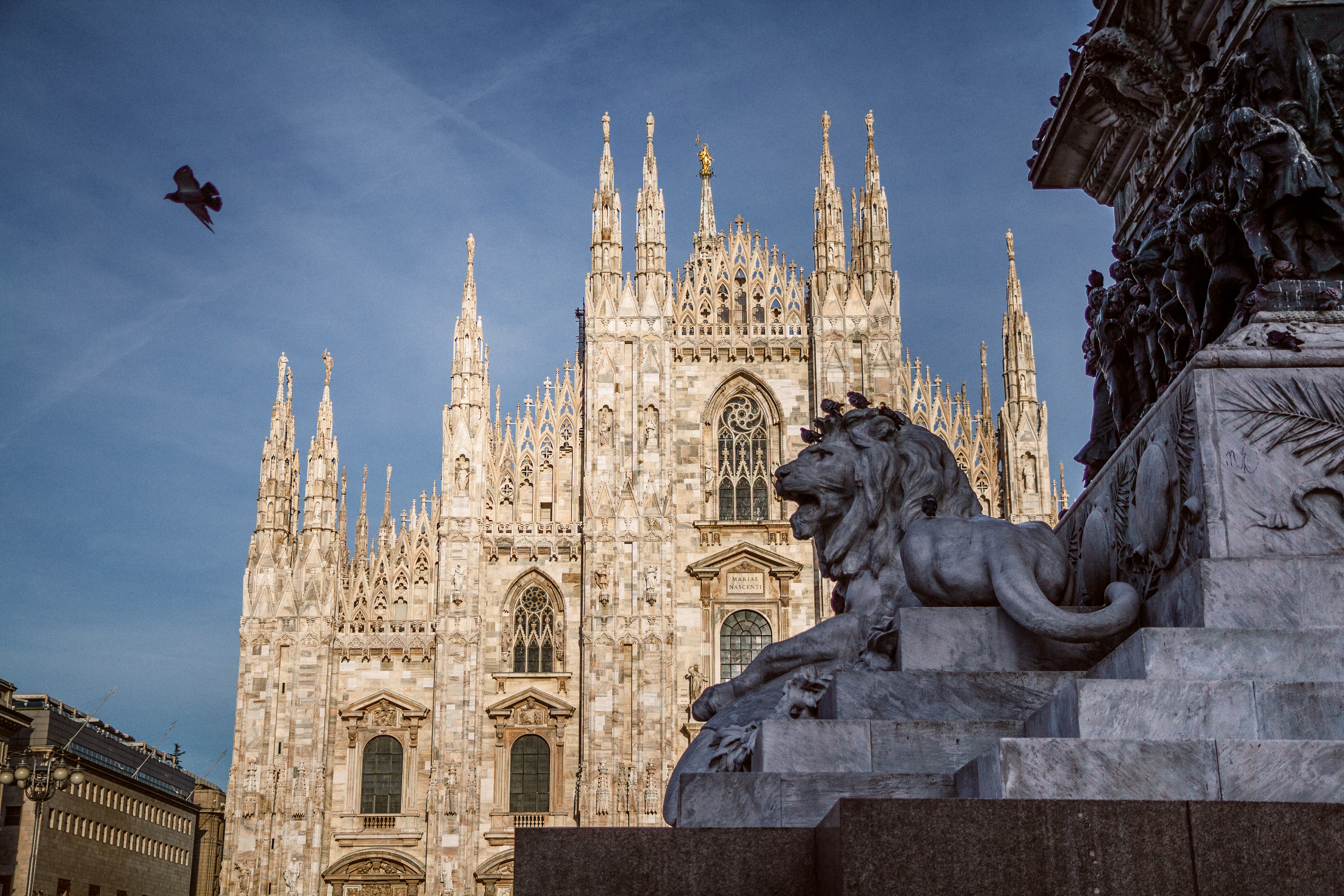 Revealed in stone - Ilarion Moga