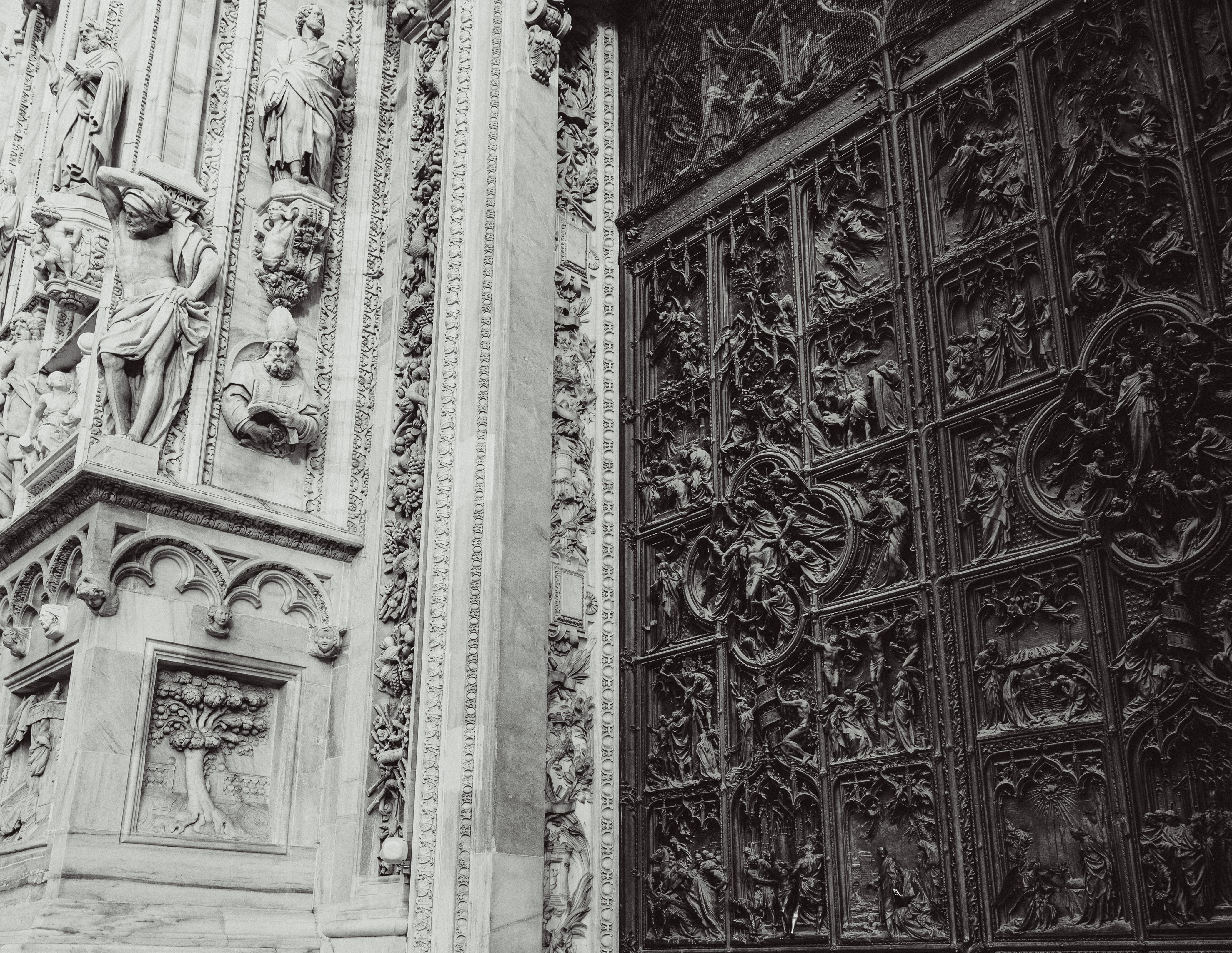 Yin-yang - Ilarion Moga