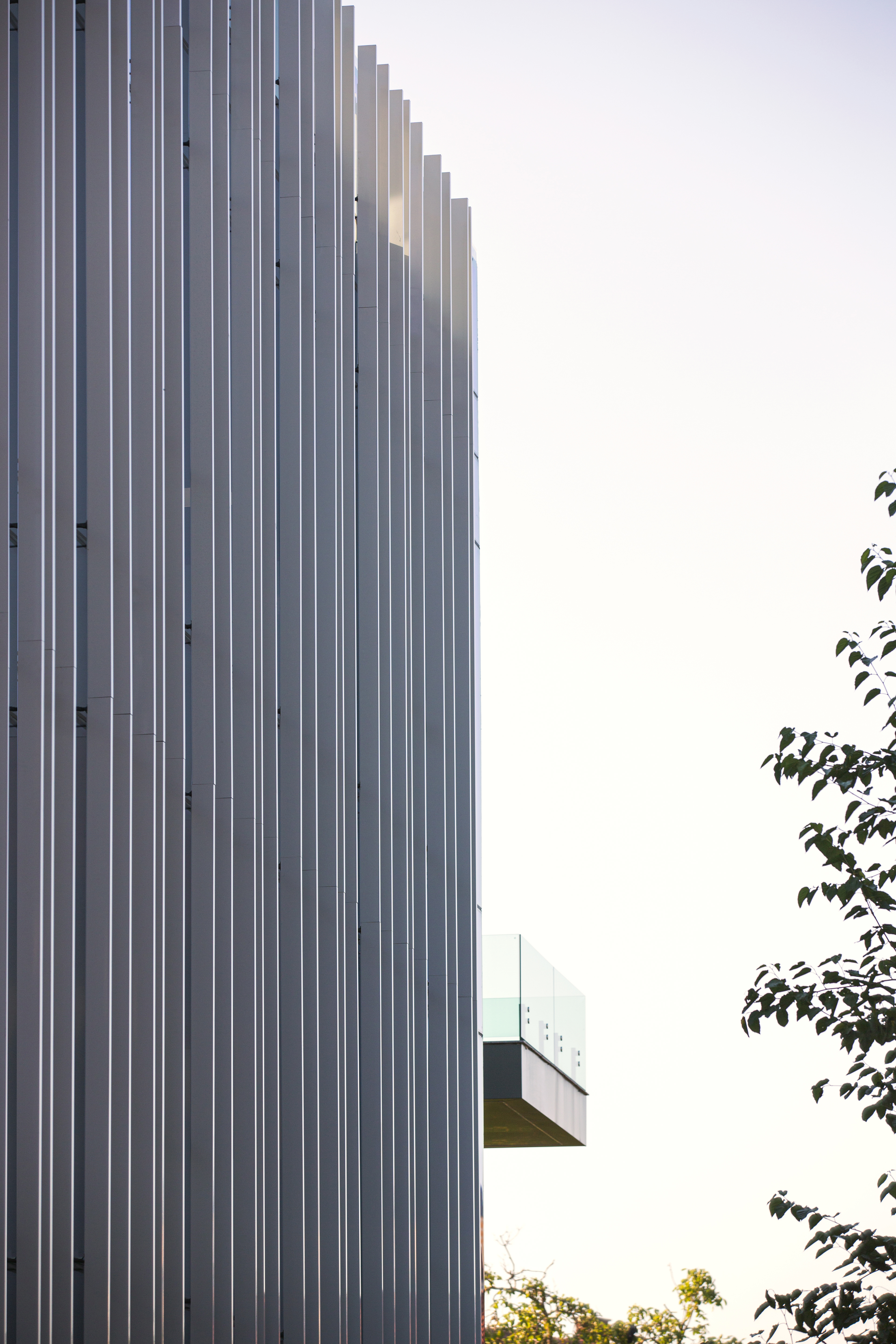 Evo Center 04 - Eliza Jurca