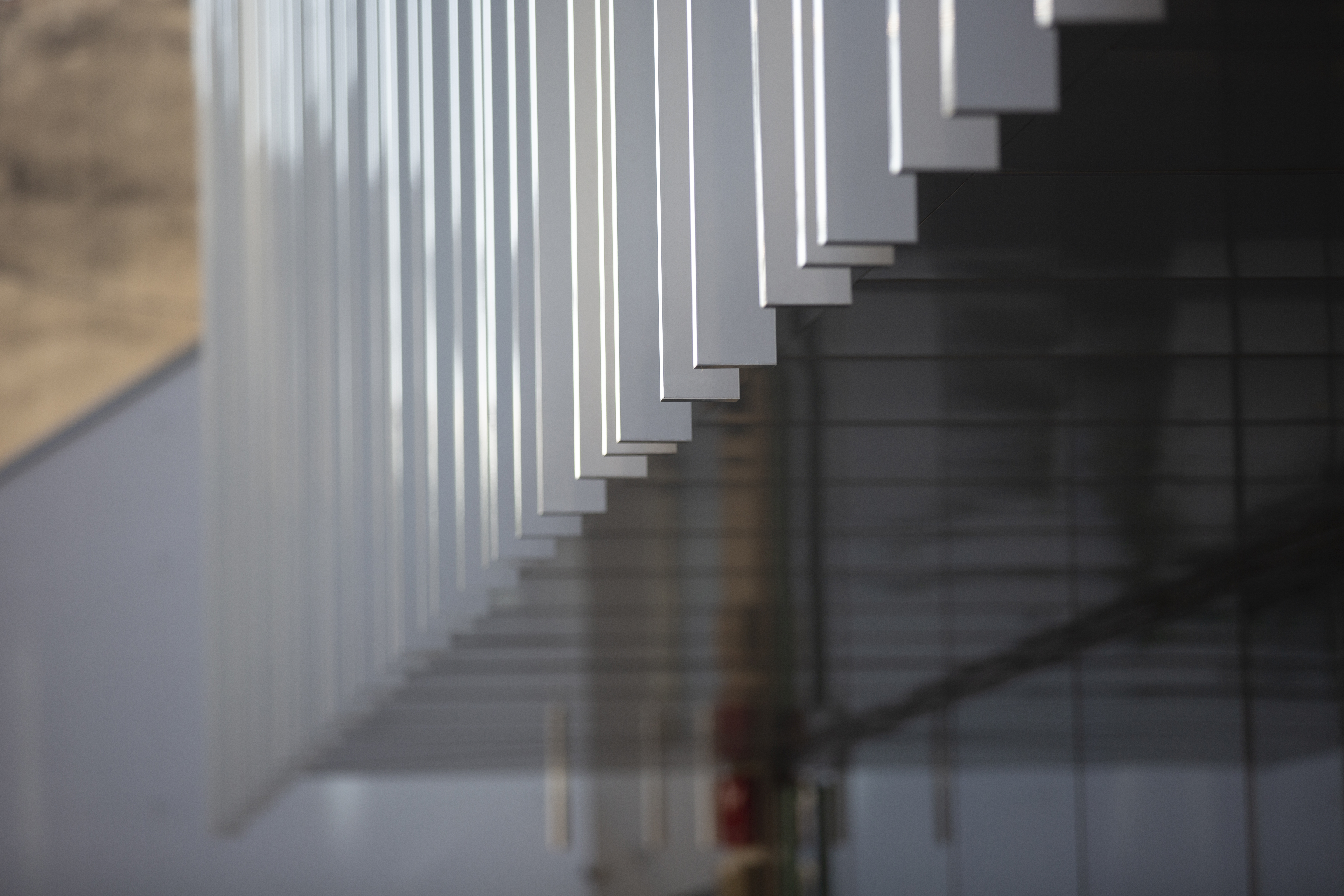 Evo Center 05 - Eliza Jurca