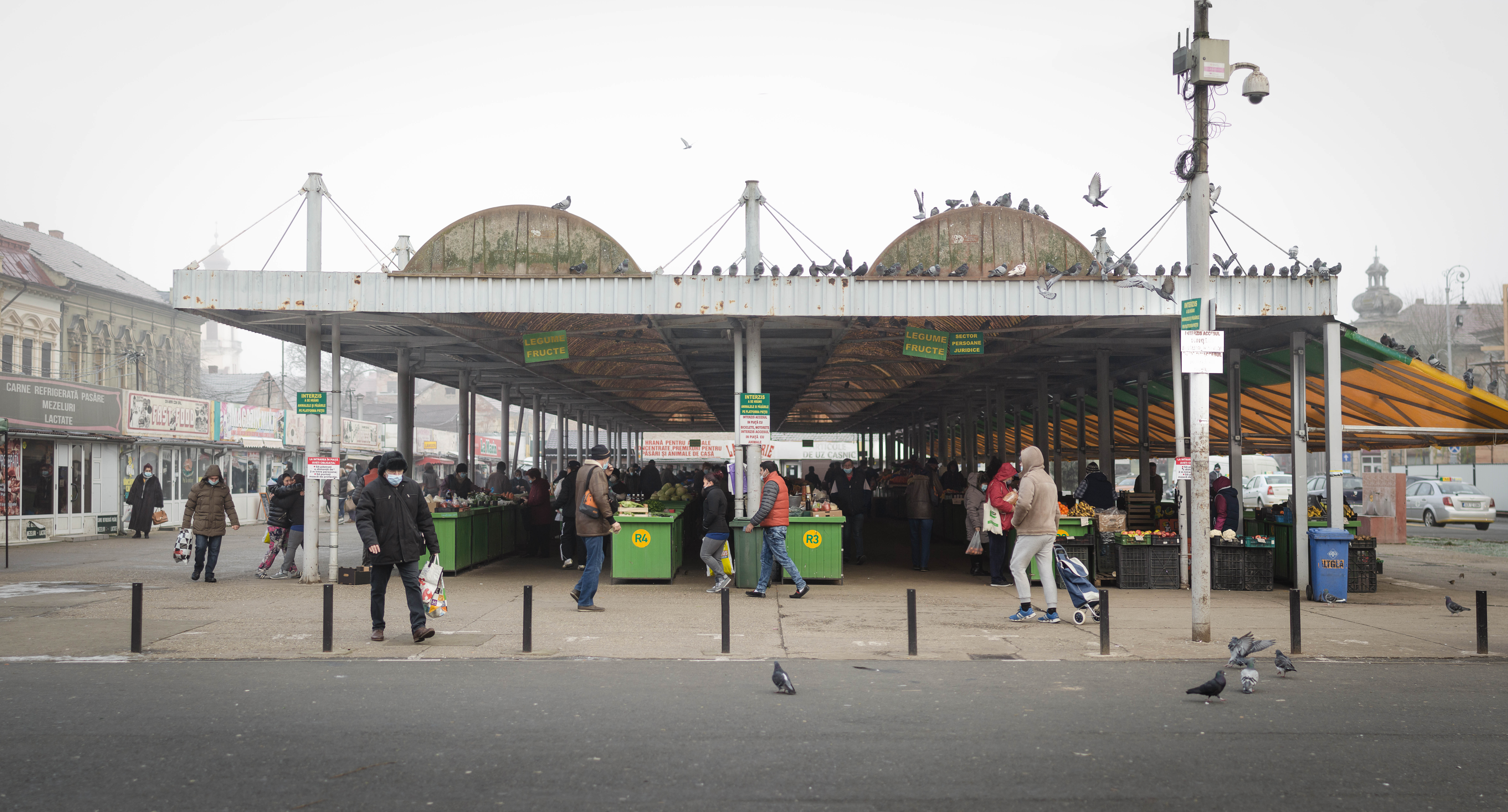 12.4 Fotografie - Razvan Nemtau